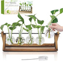 Plant Propagation Station, Propagation Vases for Plants, Unique Gardening Birthday Gifts for Women Plant Lovers Mom Best Friend - 5 Bulb Glass Vases by GreenHaven Gardens