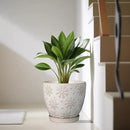 10 Inch Ceramic Planter Pot Large Plant Pot for Indoor Plants Outdoor Round Flower Pot with Drainage Hole and Saucer for Home Garden Decor White by CozyNest Decor
