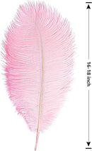 THARAHT 12PCS Ostrich Feathers Natural Bulk 16-18Inch(40-45cm) for Wedding Party Centerpieces Easter Gatsby Flower Arrangement and Home Decorate Ostrich Feathers,Pink by CozyNest Decor