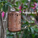 Solar Hummingbird Lanterns Outdoor Waterproof Mothers Day Gifts for Women Mom Grandma Garden Decor Hanging Solar Lights Metal Decoration Outside for Yard, Patio,Backyard,Porch by GreenHaven Gardens
