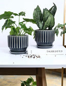 AISBUGUR Plant Pots 6 inch Ceramic Pots for Indoor Plants Set of 2 Flower Pots Unique Crackle Glaze Design Plant Pots with Drainage Hole and Saucer Come with Drainage Nets (Grey) by GreenHaven Gardens