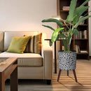 10 Inches Plant Pot with Stand, Large Modern Standing Planters for Indoor Plants with Drainage Holes, Gray Flower Pots with Legs by GreenHaven Gardens