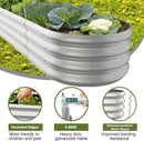 6x2x1ft Oval Galvanized Raised Garden Bed Outdoor 9-in-1 Large Metal Modular Planter Box Raised Beds for Gardening,Vegetables,Fruits,Flowers & Herbs (Silver) by GreenHaven Gardens