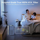 HEPA 14 Air Purifiers for Home Large Room Up to 2200ft², DAYETTE Air Purifiers for Bedroom with Air Quality Sensor, Remove 99.97% of Dust, Odor, Pets Dander, Smoke by TinyTreasures Baby Boutique