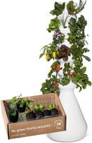 Farmstand Starter Kit + 36 Seedling Credits | Large Hydroponic Growing System Kit | Self-Watering Outdoor Vertical Garden Planter Tower | 6ft 1in | Made in USA by GreenHaven Gardens