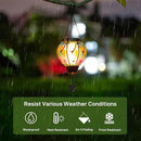 Dragonfly Solar Hot Air Balloon Lantern with Flame, Glass Hot Air Balloon Solar Lantern Outdoor Waterproof, Decorative Hanging Hot Air Balloon Solar Light for Outside Garden Patio Yard by GreenHaven Gardens