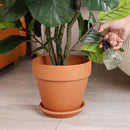 INGOFIN Terracotta Pot with Saucer - 10 Inch Ceramic Clay Pot for Plants with Drainage Hole, Large Terra Cotta Flower Planter with Tray for Indoor Outdoor Plants by CozyNest Decor