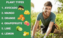 Avocado & Citrus Tree Fertilizer for Indoor & Outdoor Plants | Quick-Release Nitrogen - Citrus Fertilizer (3 Quarts) by GreenHaven Gardens