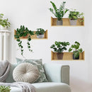 Green Plant Wall Decals 3D Bonsai Tropical Plant Wall Sticker Creative Vinyl Peel and Stick Removable Wall Art Decor for Living Room Bedroom Home Office (Tropical Plant 01) by TinyTreasures Baby Boutique