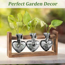 Lifecapido Heart Shaped Propagation Stations, Plant Terrarium with Wooden Stand, Plant Propagation Station for Hydroponics Plants Office Garden Home Decor, Gifts for Women Plant Lover (3 Vases, Gray) by GreenHaven Gardens