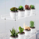 3-Tier Clear Hanging Window Plant Shelves 16In, Height Adjustable Acrylic , Indoor Windows Wall Hanging Plant Stand Flower Display, Flower Pot Organizer Storage for Grow Herbs, Microgreens, Succulents by GreenHaven Gardens