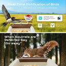 Bird Feeder with Camera, 2K HD Live Video, Smart Bird Cam Solar Powered with AI Birds Species Identification, Auto Capture Video, Instant Arrival Alerts, Best Gifts for Mom Dad by CozyNest Decor