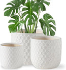 Docrin Ceramic Plant Pots Indoor: 6.5+5.3+4 Inch Planters with Drainage Holes for Home/Office - Set of 3 / White Honeycomb by GreenHaven Gardens