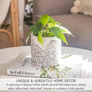 BASE ROOTS Mushroom Planter, Speckled White, Indoor/Outdoor, Holds Small Plants by GreenHaven Gardens