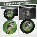 20X25 Small Binoculars for Adults and Kids, Large Eyepiece Binoculars for Bird Watching Easy Focus, Pocket High Powered Opera Glasses for Concert, Cruise Ship, Travel Must Have by TinyTreasures Baby Boutique