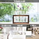 Desktop Glass Plant Propagation Station with 5 Test Tubes in Wooden Stand - Hydroponic Plants Cutting Office Home Decoration and Garden Decor Terrarium (5 Tubes) by CozyNest Decor