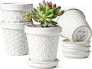 LE TAUCI Ceramic Succulent Pots, 3 Inch Mini Flower Pots for Indoor Plant Cactus, Embossed Small Plant Pot with Drainage Hole & Saucer, Home Decor - Set of 4, Arctic White by GreenHaven Gardens