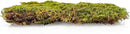 Preserved Sheet Moss in Natural Green | Decorative Real Natural Green DIY Kit Terrariums Gardenning Art Wall Decor Florist Decor Easter Table Decor Wedding - 2 Quart by GreenHaven Gardens