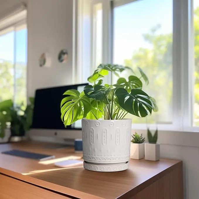 Ceramic Planter for Indoor Plants - 8 Inch Plant Pot Outdoor Flower Pot with Drainage Holes and Saucer Modern Round Planter Succulent Pot for Home Garden Decor White, photo 9 of 9