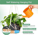 QCQHDU 2 Pack Hanging Planters for Indoor Plants, Outdoor Hanging Baskets, Self Watering Pots with Drainage Holes & Removable Tray (Dark Grey, 8 inch, Macrame Hanger) by GreenHaven Gardens