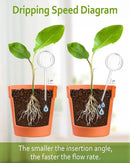 DN DECONATION 4 Pcs Plant Watering Globes, Clear Glass Watering Bulb, Watering Bulbs for Indoor Plants & Outdoor Plants, Automatic Plant Watering System to Support Plant Health, Striped Water Globes by GreenHaven Gardens