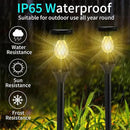 2 Pack Solar Lights Outdoor Waterproof, Solar Garden Lights Outdoor, Auto On/Off LED Lights Landscape Decorative for Garden,Lawn,Yard, Walkway, Driveway, Patio. by GreenHaven Gardens
