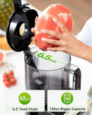 Cold Press Juicer Machines – 6.5'' Large Feed Chute for Whole Fruits & Vegetables, High Juice Yield, Easy To Clean by CozyNest Decor