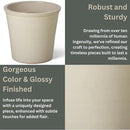 Emissary Round Stoneware Planter (Parent SKU 12012) (Cream, 13" D x 12" H) by CozyNest Decor