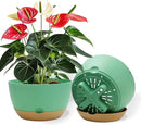 10 Inch Pots for Indoor Plants, Large Self Watering Planters with Drainage and Saucers, Plastic Outdoor Flower Pot, Set of 2, Green by GreenHaven Gardens