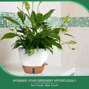 montresor 2 Pack 10 inch Plant Pots, PP Plastic Self Watering Plant Pot with Drainage and Tray for Indoor Outdoor Plants, Water Level Window & Reservoir Flower Pots Decorative Planter (White) by CozyNest Decor