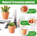 Terra Cotta Pots, 24 Pack 3.15 Inch Mini Clay Pots with Drainage Holes,Cactus Flower Nursery Terracotta Pots for Indoor/Outdoor Succulent Plants, Crafts, Wedding Favor by GreenHaven Gardens