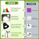 HMVPL Grow Lights for Indoor Plants Full Spectrum, Plant Lights for Indoor Growing with 20W COB Grow Light Blub, 4/8/12H Timer, Standing Tall Grow Lamp for Middle Large Plants(75'', Height Adjustable) by GreenHaven Gardens