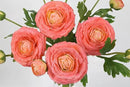 IPOPU 4PCS Real Touch Ranunculus Artificial Flowers Faux Ranunculus Flowers for Vases Real Look Silk Peonies Fake Peony Flowers for Home Indoor Wedding Centerpieces for Table Decorations (Orange) by CozyNest Decor