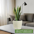 Dexceder 9x8 Inches Self Watering Planter Indoor Outdoor, Inner Pot Design, Thickened Table Flower Plant Pot with Water Level Indicator (White Gold Crackle) by CozyNest Decor