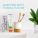 Himalaya Botanique Complete Care Toothpaste, Herbal, Peppermint Flavor, Fights Plaque, Freshens Breath, Fluoride Free, No Artificial Flavors, SLS Free, Cruelty Free, Foaming 5.29 Oz, 2 Pack… by CozyNest Decor