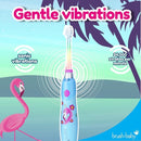 Brush‑Baby - KidzSonic Flamingo Kids Electric Toothbrush for Ages 3+ with Disco LED Lights, Gentle Sonic Vibrations, 2-Minute Smart Timer & 30‑Second Pulse Reminders – AAA Battery Included by TinyTreasures Baby Boutique