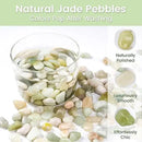 SIDONG 10 LB Jade Pebbles, 2/5 Inch Natural Decorative Polished Jade Stones, Jade River Rocks for Succulents, Cactus, Vases, Indoor Plants, Garden Landscaping, Bamboo by GreenHaven Gardens