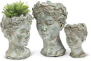 Abbott Collection Goddess Head Planter - Large Cement Indoor and Outdoor Planter Pot - Grecian Woman Statue Head Planter for Flowers and Succulents - Grey (10" H, 4.5" Opening) by GreenHaven Gardens