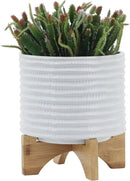 8" Ceramic Planter Stand, White with Wooden Base, Indoor/Outdoor Planter with Stand for Your Succulents and Small Plants, White Planter by GreenHaven Gardens