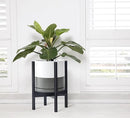 D'vine Dev Ceramic Planter with Ebony Stand - 10 Inch Modern Round Flower Pot with Wood Planter Holder, White/Grey, 55-B-L-6 by CozyNest Decor