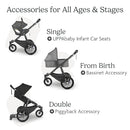 UPPAbaby Ridge Jogging Stroller/Durable Performance Jogger with Never-Flat Tires/Built for Walking, Running, Hiking/Water Bottle Holder and Basket Cover Included/Jake (Charcoal/Carbon Frame) by TinyTreasures Baby Boutique