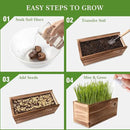 Cat Grass Kit for Indoor Cats - 5X Seed Packets with Handmade Wood Planter | Grow Organic Non-GMO Wheat Grass in 4-7 Days, Aids Digestion & Hairball Control, Ideal Gift for Cat Lovers by GreenHaven Gardens
