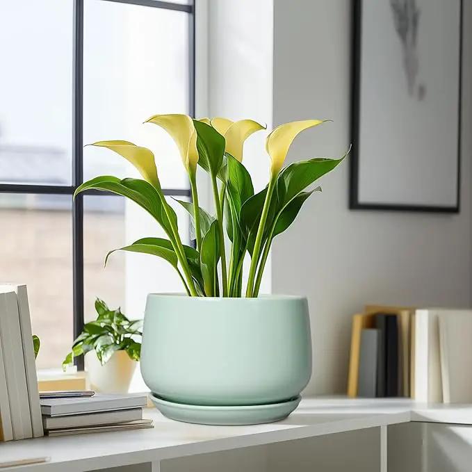 G EPGardening Ceramic Pots for Plants - 9 Inch Ceramic Planter with Drainage and Saucer, Round Planter for Indoor Outdoor Plants, Modern Flower Pots, Garden Decor, Birthday Gifts, Green, photo 8 of 8