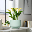 G EPGardening Ceramic Pots for Plants - 9 Inch Ceramic Planter with Drainage and Saucer, Round Planter for Indoor Outdoor Plants, Modern Flower Pots, Garden Decor, Birthday Gifts, Green by GreenHaven Gardens