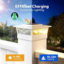 NIORSUN Solar Post Cap Lights Outdoor, 2 Modes LED, Deck Fence Post Solar Lights for 3.5x3.5 4x4 5x5 Post Caps Patio Garden Decoration, Solar Post Lights Warm White/Cool White Lighting White 12 Pack by GreenHaven Gardens