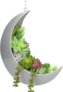 Hanging Moon Planter for Moon Room Decor - Great for Succulents, Air Plant, Mini Cactus, Faux, Artificial Plants-Boho Hanging Planters for Indoor Plants, Witchy Gifts for Women, Birthdays,Plant Lovers by GreenHaven Gardens