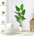Fake Bird of Paradise Silk Artificial Plant Faux Banana Leaf Tree for Home Decor Indoor Floor Plant with 10 Trunks (1, Black Planter, 6 FT) by CozyNest Decor