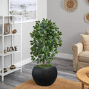 13.5 H x 17" Dia (12" Pot Opening) Round Fiberstone Planter with Drainage Hole, Black, Indoor/Outdoor Large Plant Pot for Home Patio Garden, Ideal for Large Plants by GreenHaven Gardens