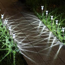 DenicMic Solar Lights Outdoor Pathway Lights 6000K LED Waterproof Acrylic Lamp Head Stainless Steel Stake for Yard Garden Landscape Path Walkway Driveway Patio Lawn (15Pack Cold White) by GreenHaven Gardens