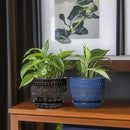 G EPGardening Ceramic Plant Pot - 5.5 Inch Ceramic Planter for Indoor Plants, Boho Round Indoor Flower Pot with Drainage Hole and Saucer, Plant Lover Gifts, Garden Home Room Decor, Black by GreenHaven Gardens